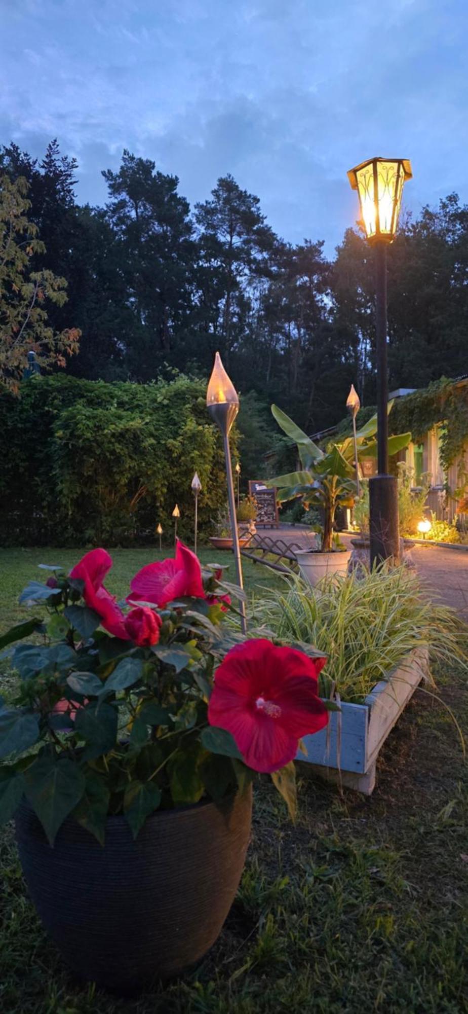 Waldpension Gussow