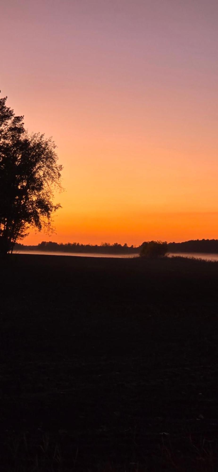 Apartment Waldpension Gussow Heidesee
